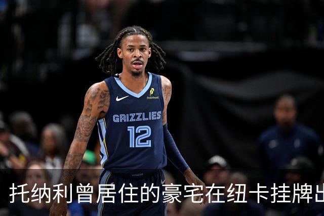 托纳利曾居住的豪宅在纽卡挂牌出售，售价达到400万英镑