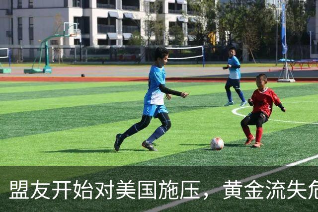 盟友开始对美国施压，黄金流失危机加剧