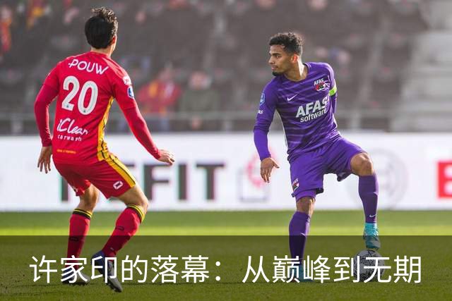 许家印的落幕：从巅峰到无期